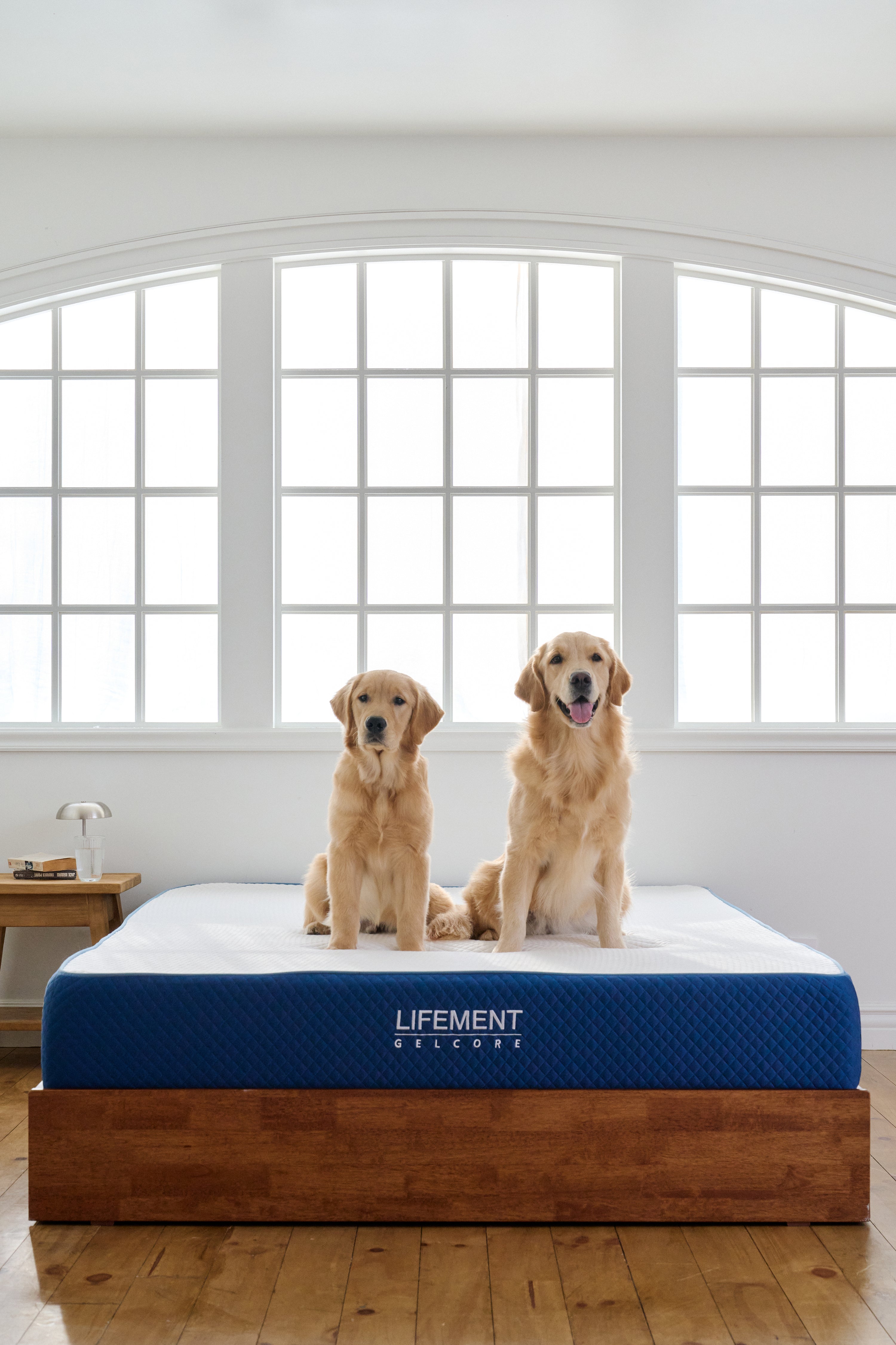 Gel Core Grid Mattress – LIFEMENT